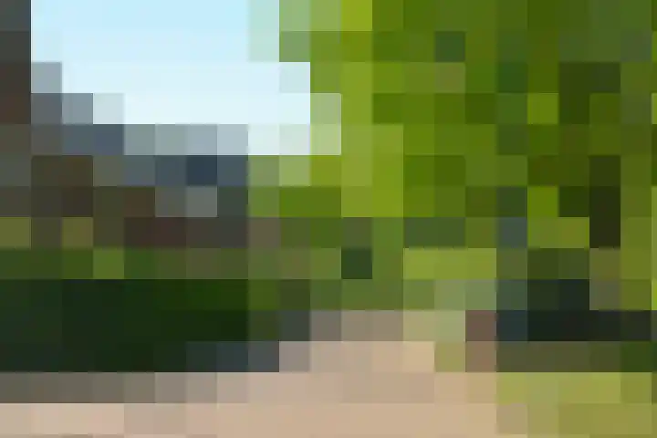 Vierkante Bosje 50 Eemnes thumbnail 51