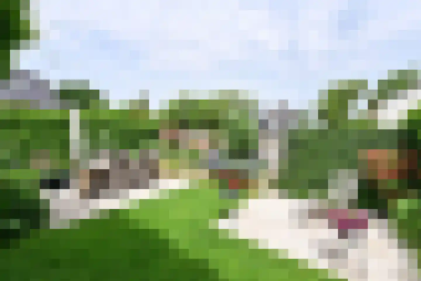Vierkante Bosje 59 Eemnes thumbnail 11