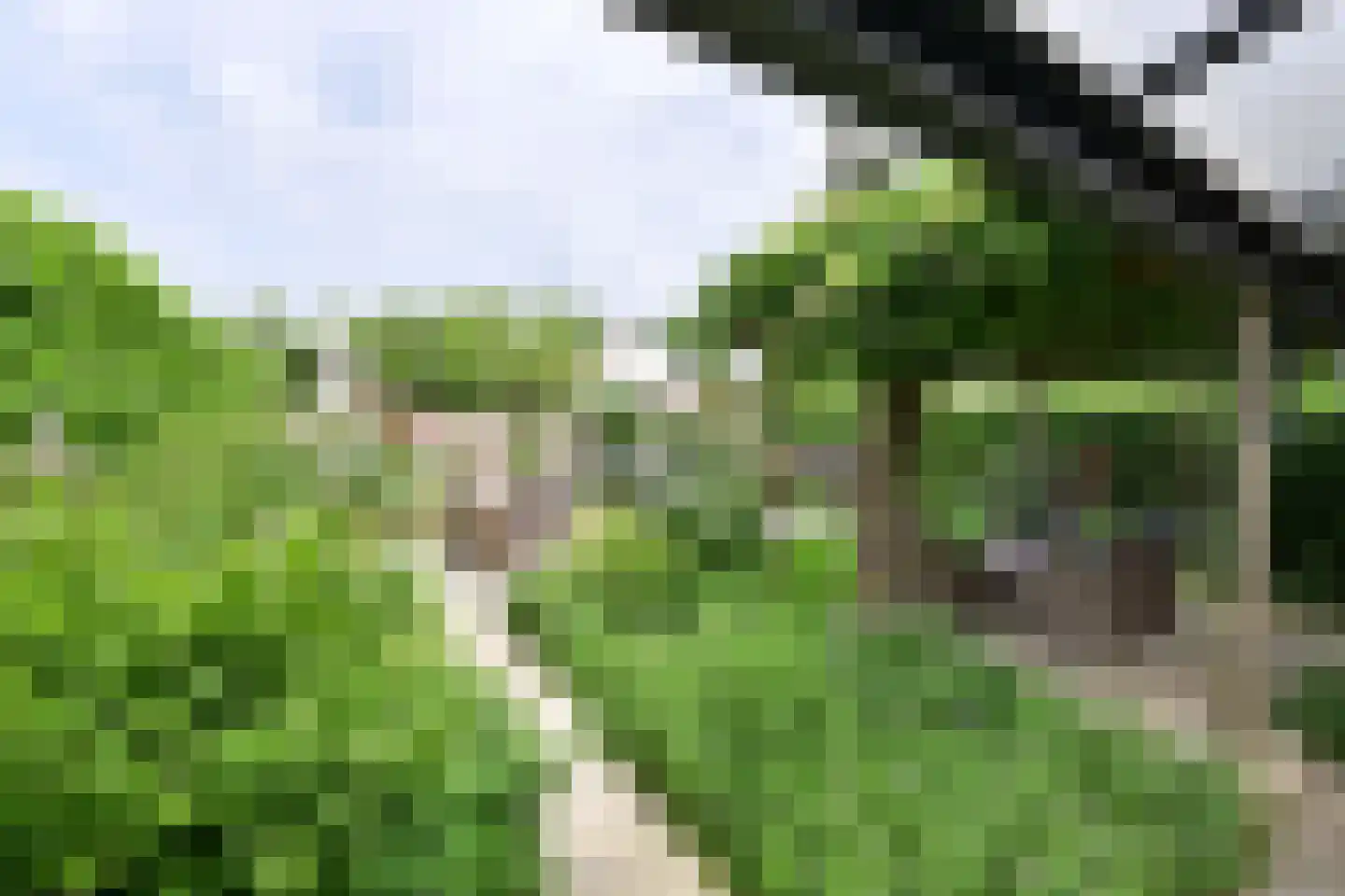 Vierkante Bosje 59 Eemnes thumbnail 18