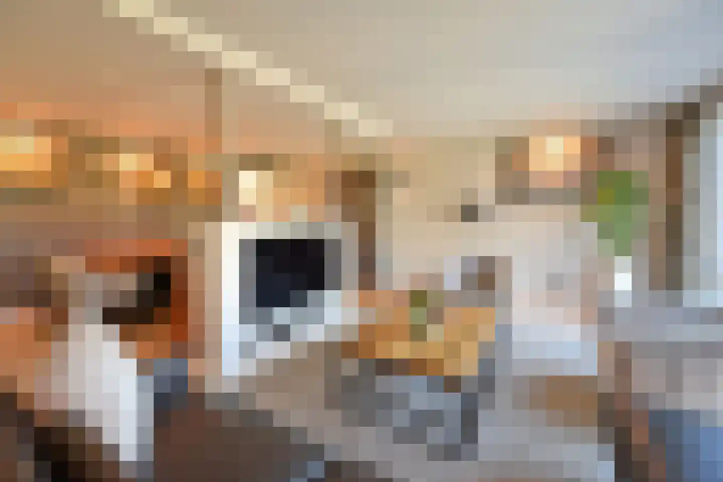 Vierkante Bosje 59 Eemnes thumbnail 5
