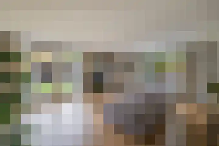 Vierkante Bosje 60 Eemnes thumbnail 12
