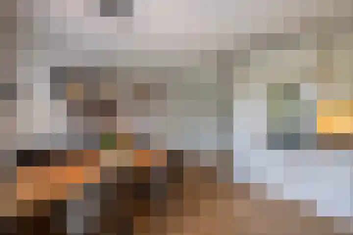Vierkante Bosje 60 Eemnes thumbnail 13