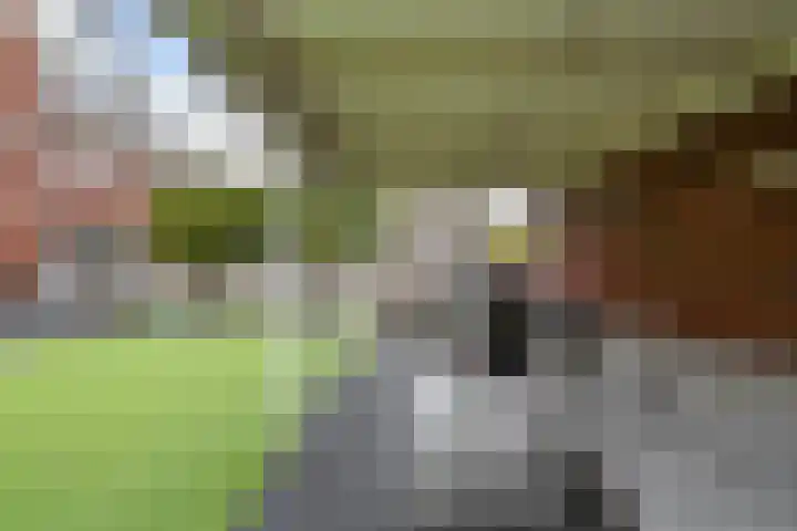 Vierkante Bosje 60 Eemnes thumbnail 19