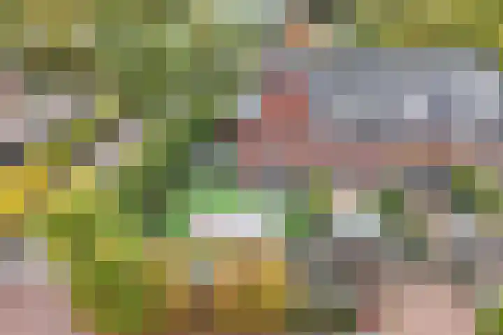 Vierkante Bosje 60 Eemnes thumbnail 22