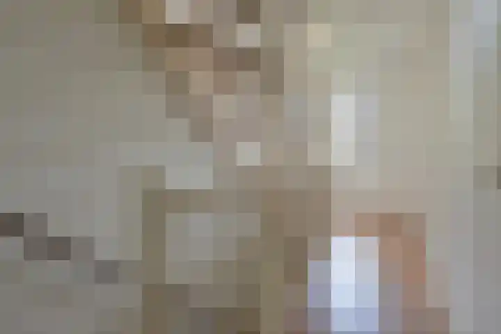 Vierkante Bosje 69 Eemnes thumbnail 13