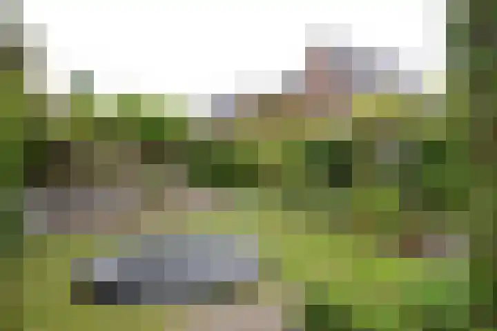 Vierkante Bosje 69 Eemnes thumbnail 19