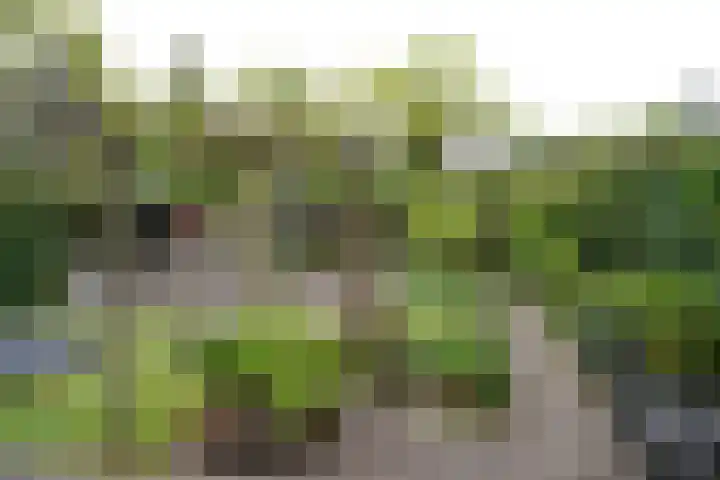 Vierkante Bosje 69 Eemnes foto 2