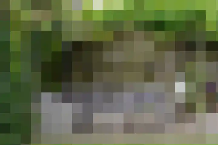Vierkante Bosje 69 Eemnes thumbnail 20