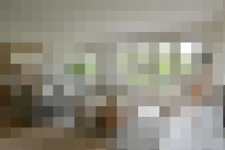 Vierkante Bosje 69 Eemnes foto 3