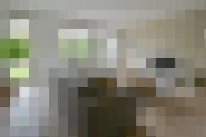 Vierkante Bosje 69 Eemnes thumbnail 5