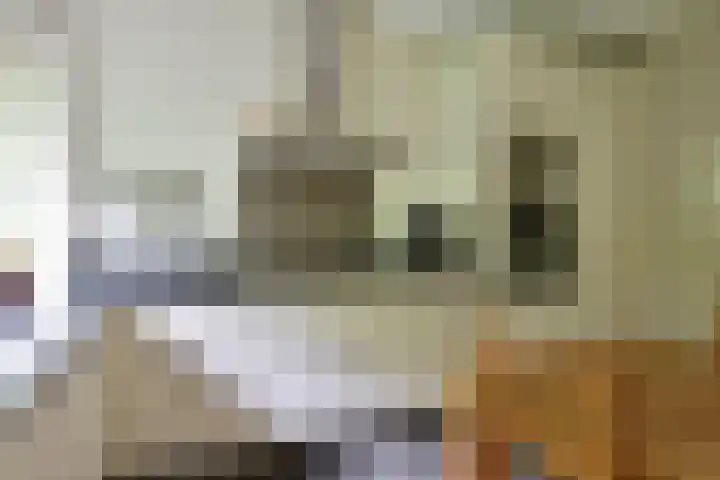 Vierkante Bosje 69 Eemnes thumbnail 7
