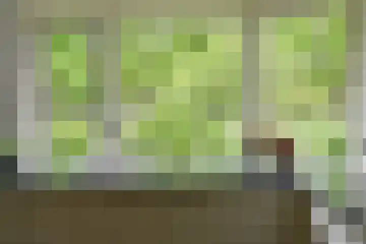 Vierkante Bosje 69 Eemnes thumbnail 9