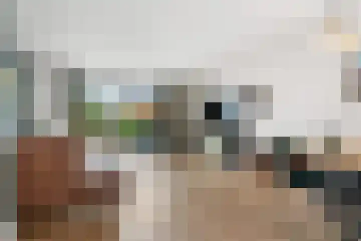 Vierkantemorgenstraat 14 Zevenaar thumbnail 7