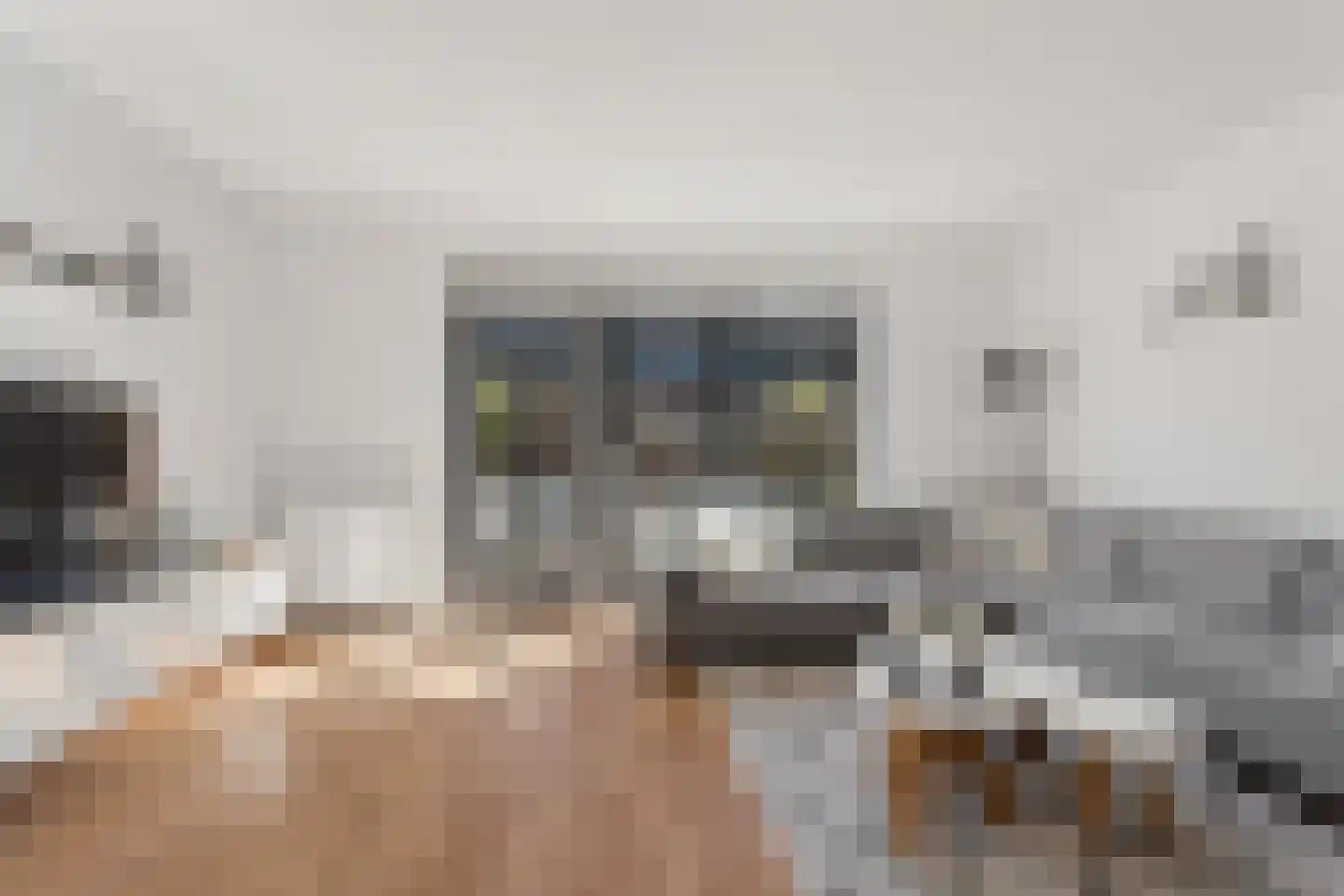 Vierkantemorgenstraat 3 Zevenaar thumbnail 7