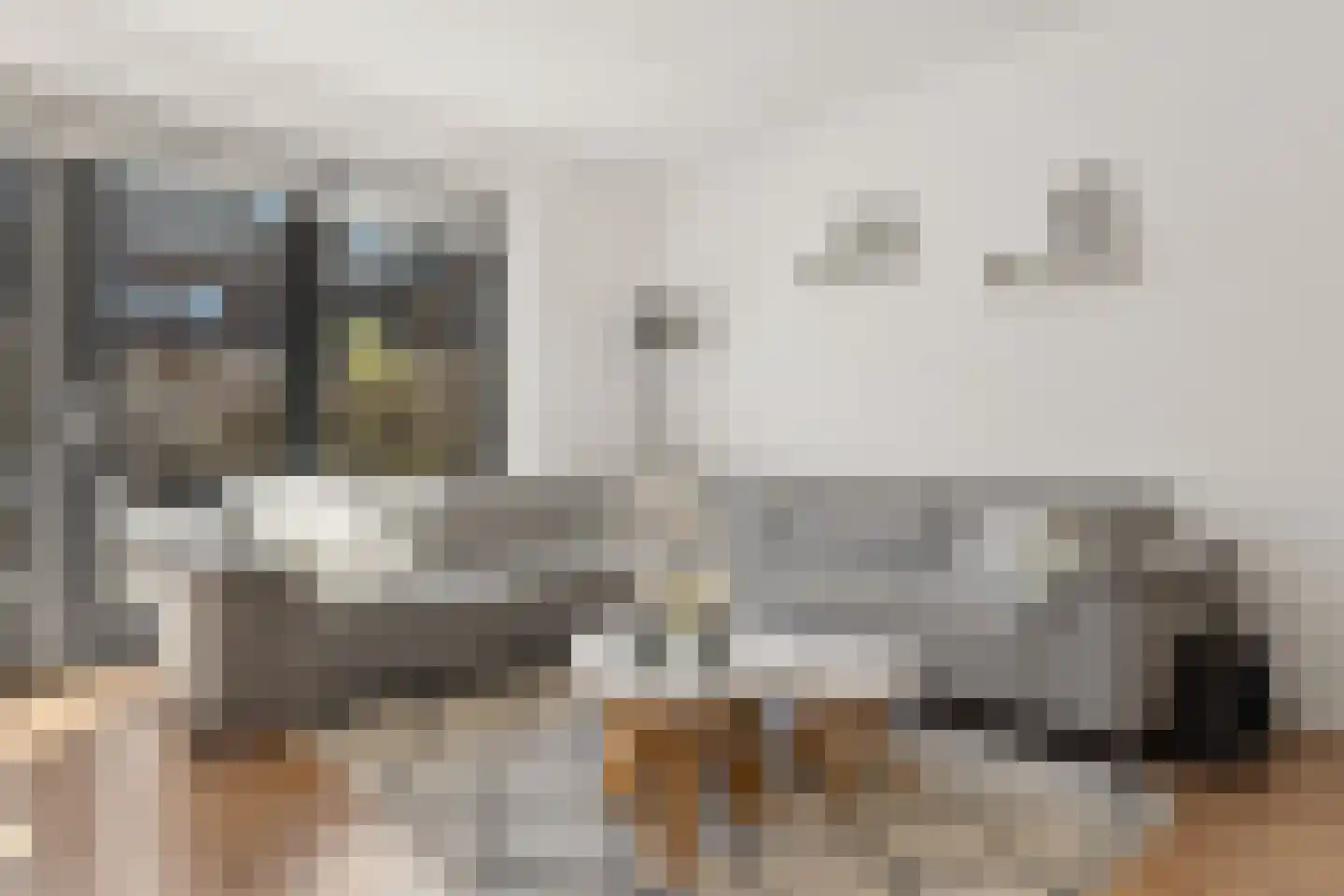 Vierkantemorgenstraat 3 Zevenaar thumbnail 8