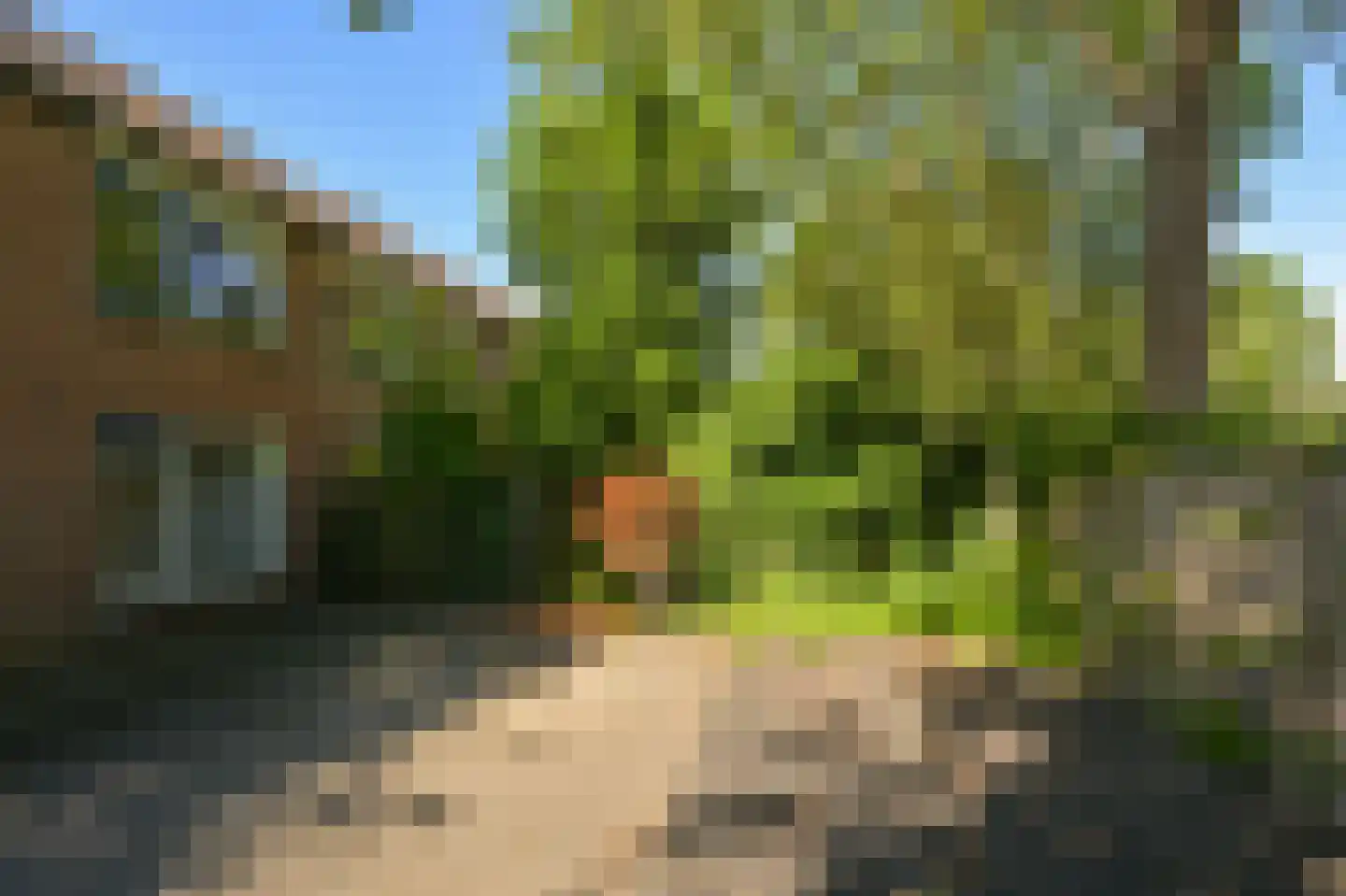 Vierkantje 19 Koog aan de Zaan thumbnail 22