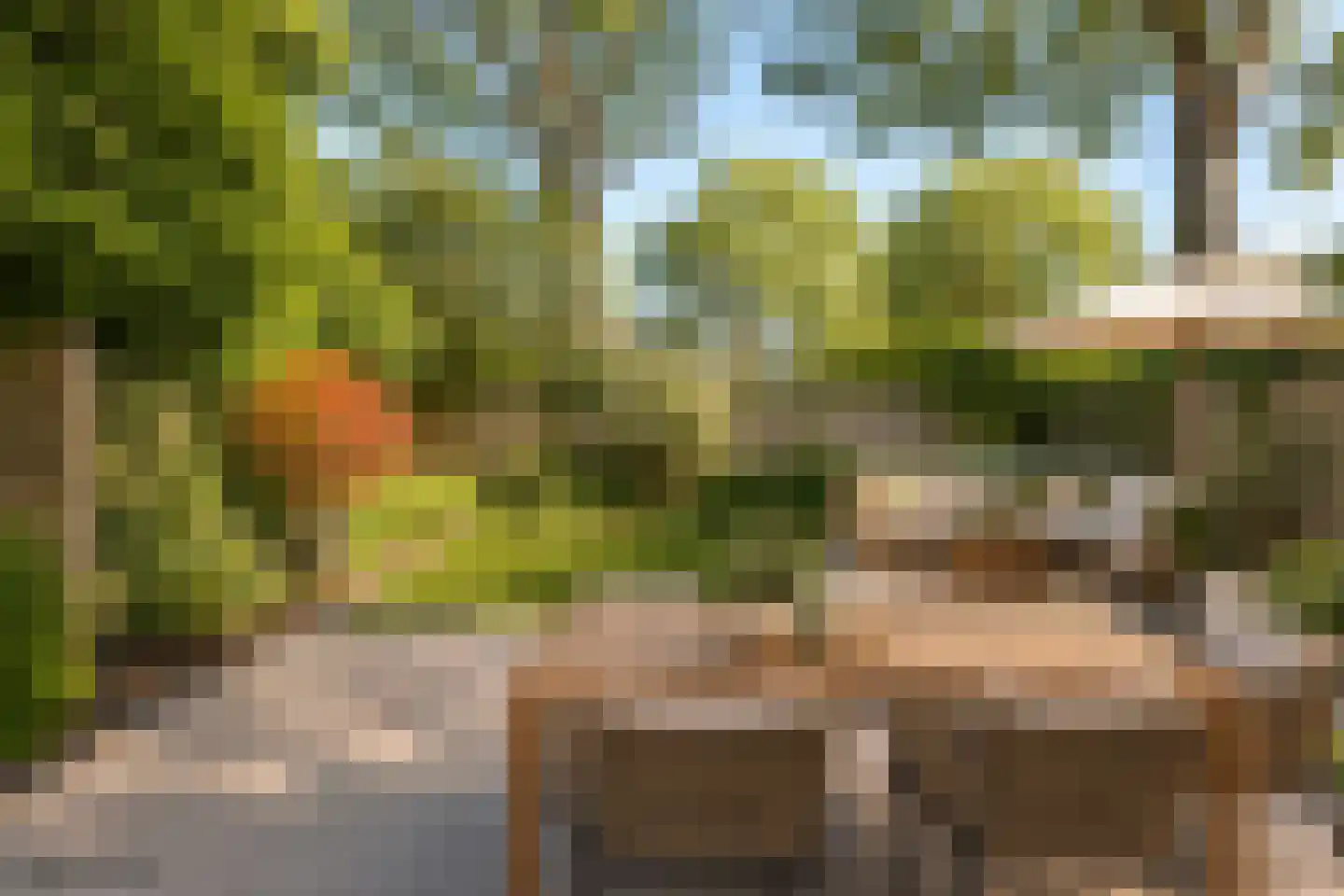 Vierkantje 19 Koog aan de Zaan thumbnail 4