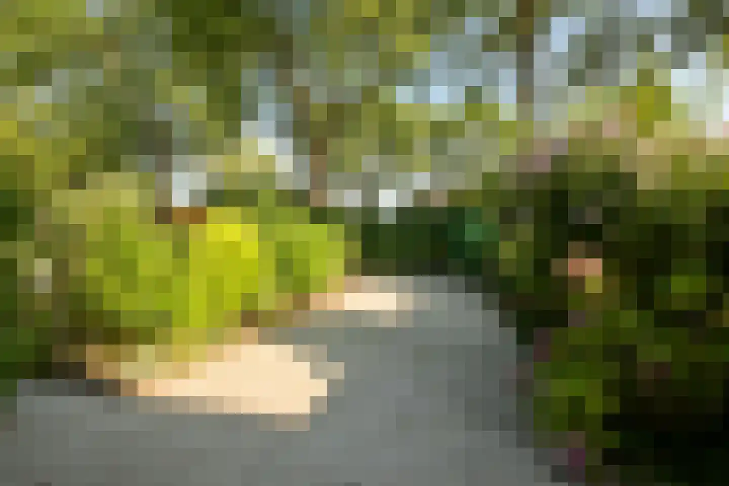 Vierkantje 9 Koog aan de Zaan foto 2