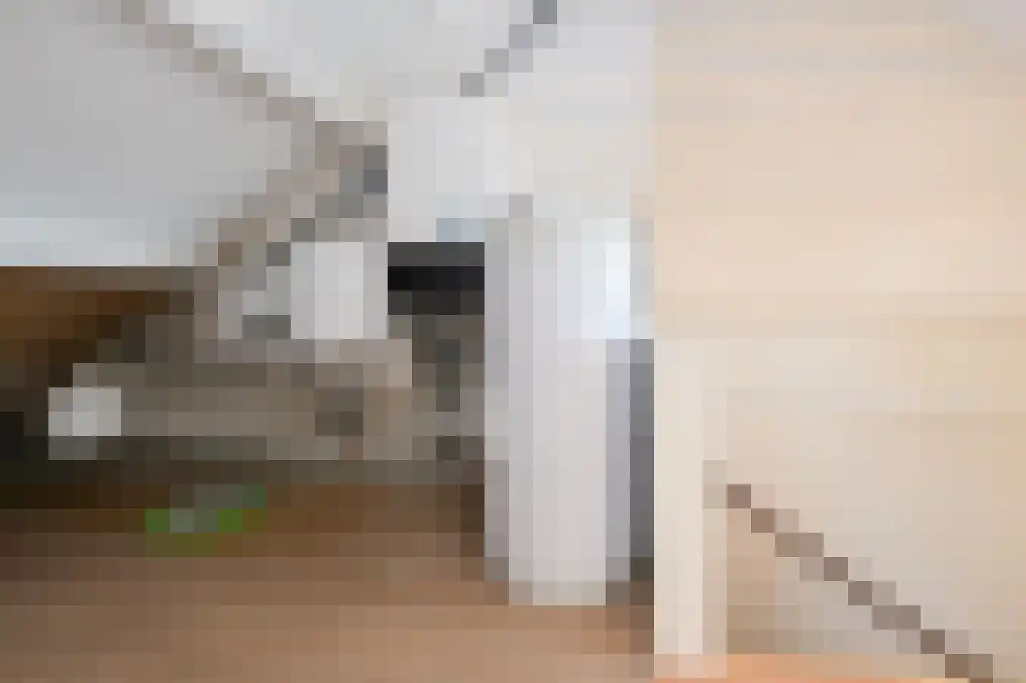 Vierkantje 9 Koog aan de Zaan thumbnail 26