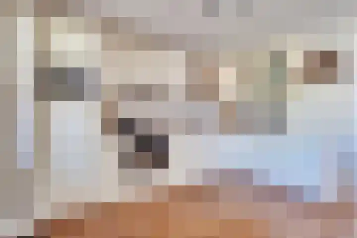 Vierkenshof 10 Tolkamer thumbnail 14