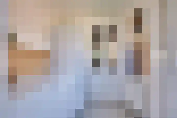 Vierkenshof 10 Tolkamer thumbnail 15