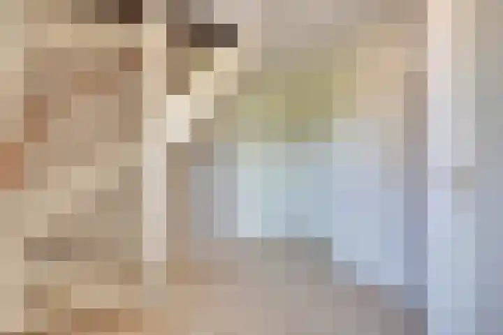Vierkenshof 10 Tolkamer thumbnail 17