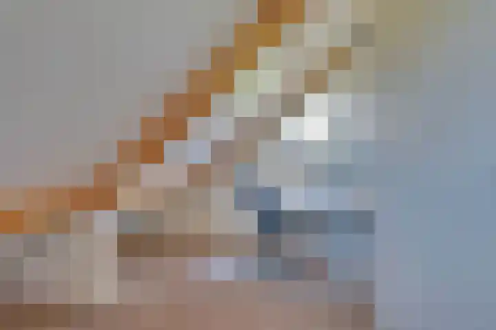Vierkenshof 10 Tolkamer thumbnail 26
