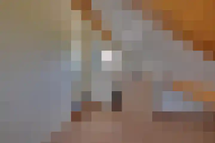 Vierkenshof 10 Tolkamer thumbnail 27