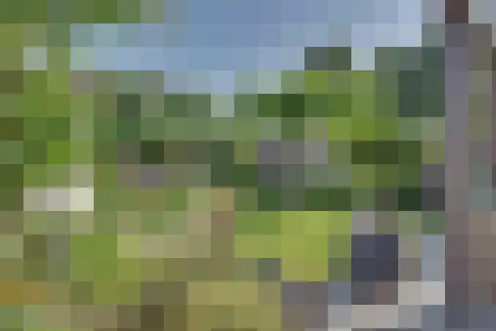 Vierkenshof 10 Tolkamer thumbnail 33
