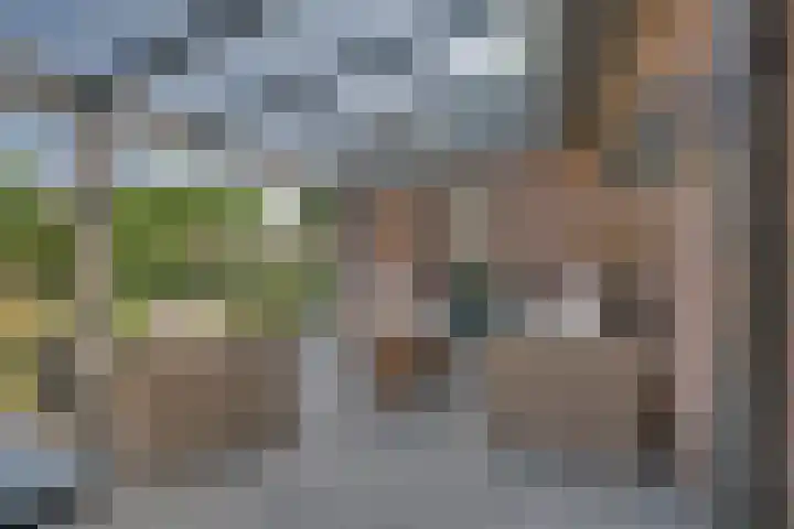 Vierkenshof 10 Tolkamer thumbnail 34
