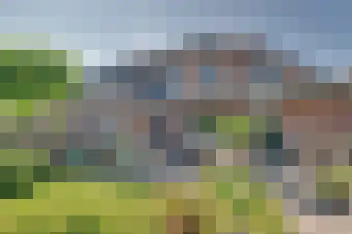 Vierkenshof 10 Tolkamer thumbnail 36