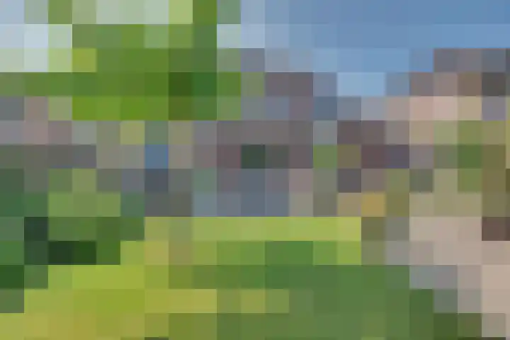 Vierkenshof 10 Tolkamer thumbnail 37