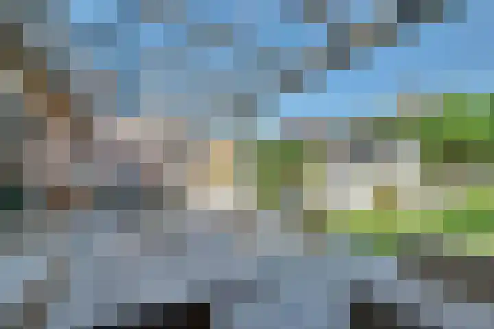Vierkenshof 10 Tolkamer thumbnail 4