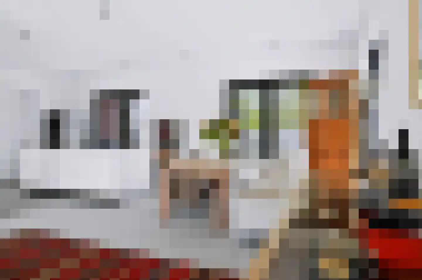 Vierkenshof 54 Tolkamer thumbnail 18