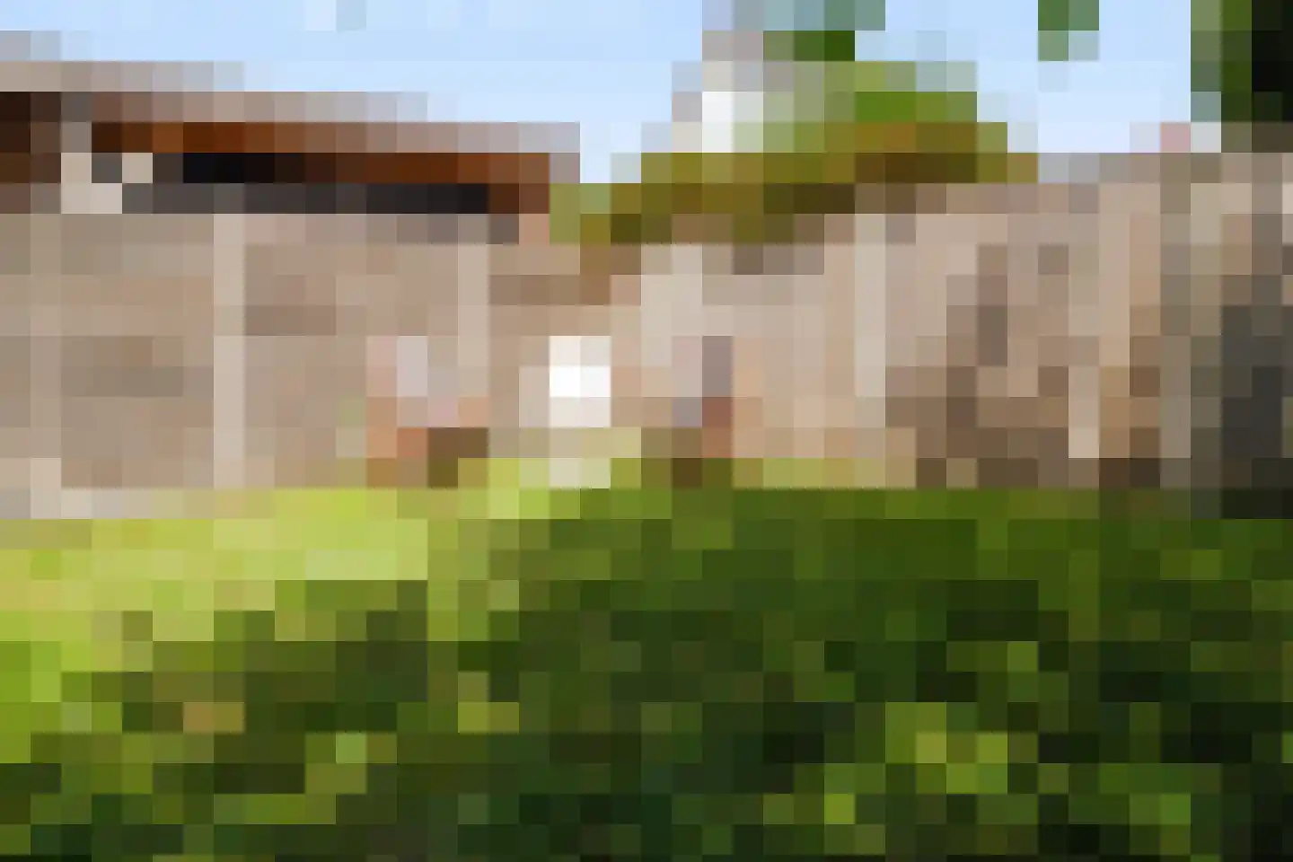 Vierkenshof 54 Tolkamer thumbnail 43