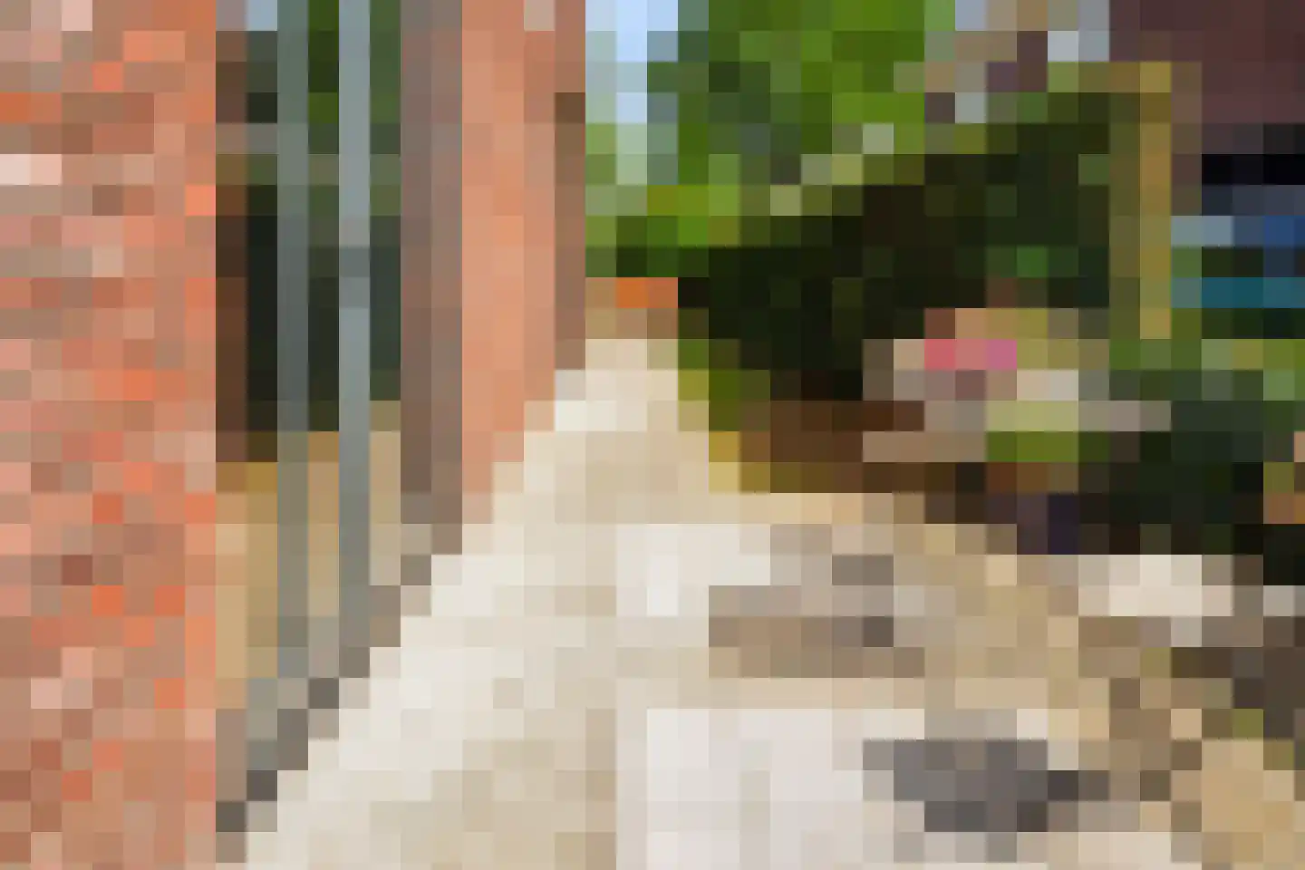 Vierkenshof 54 Tolkamer thumbnail 47