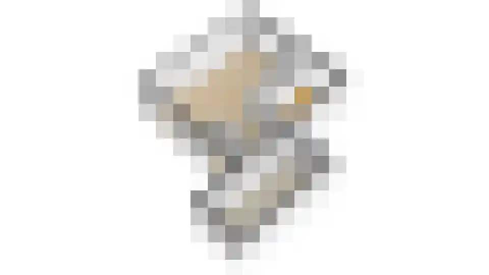 Vierkenshof 54 Tolkamer thumbnail 53