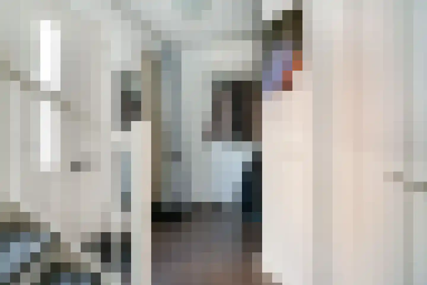 Vierkenshof 96 Tolkamer thumbnail 12