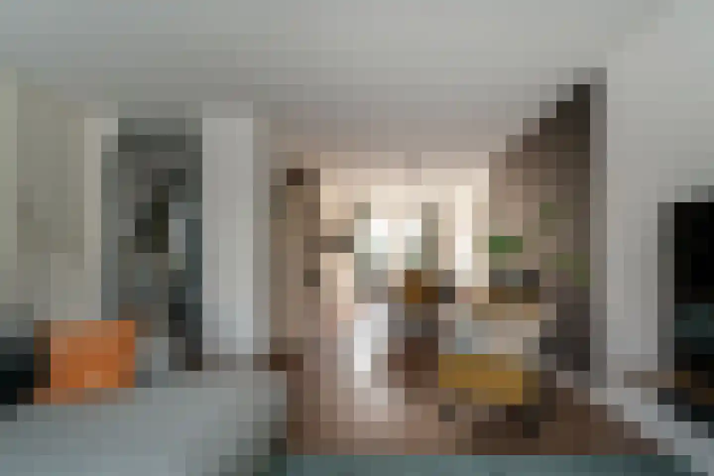 Vierkenshof 96 Tolkamer thumbnail 19