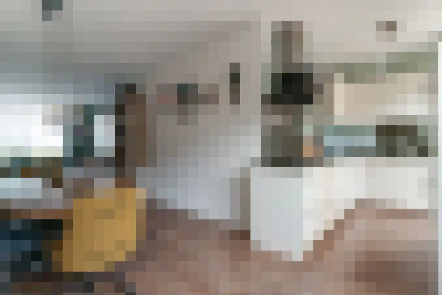 Vierkenshof 96 Tolkamer thumbnail 23