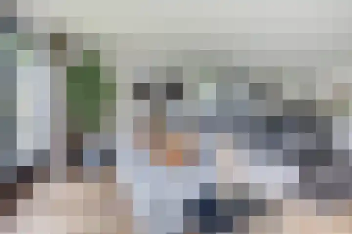 Vierlander 16 Dronten thumbnail 11