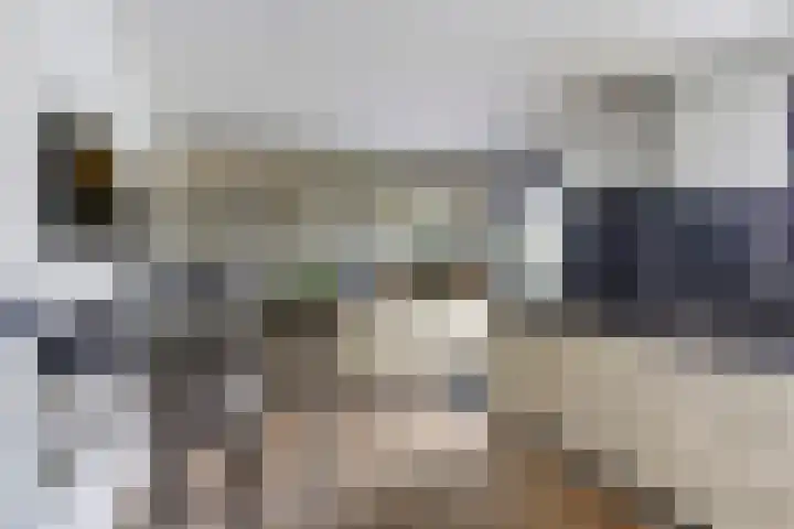 Vierlander 16 Dronten thumbnail 16