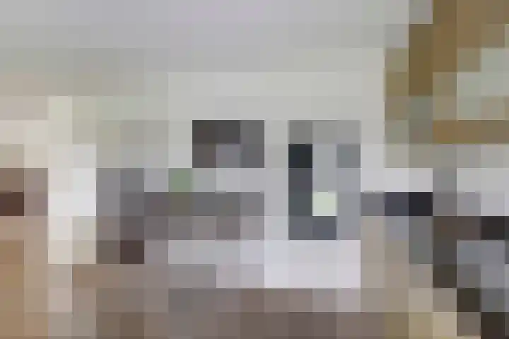 Vierlander 16 Dronten thumbnail 18