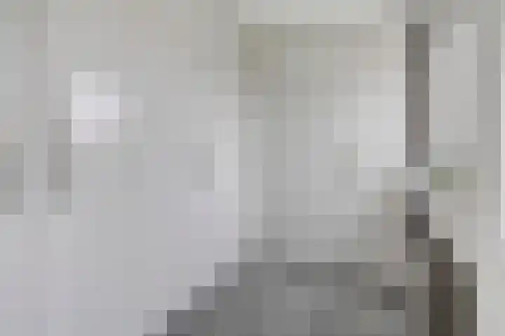 Vierlander 16 Dronten thumbnail 24