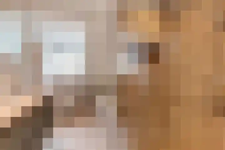 Vierlander 16 Dronten thumbnail 25