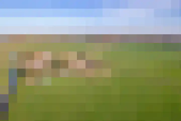 Vierlander 16 Dronten thumbnail 29