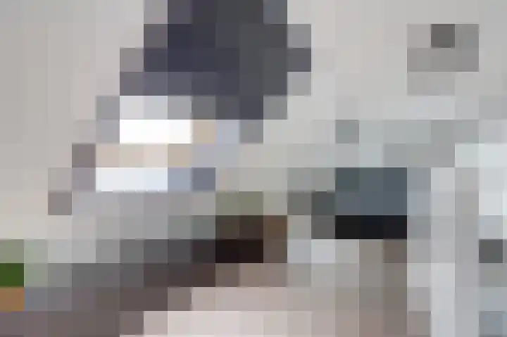 Vierlander 16 Dronten thumbnail 32