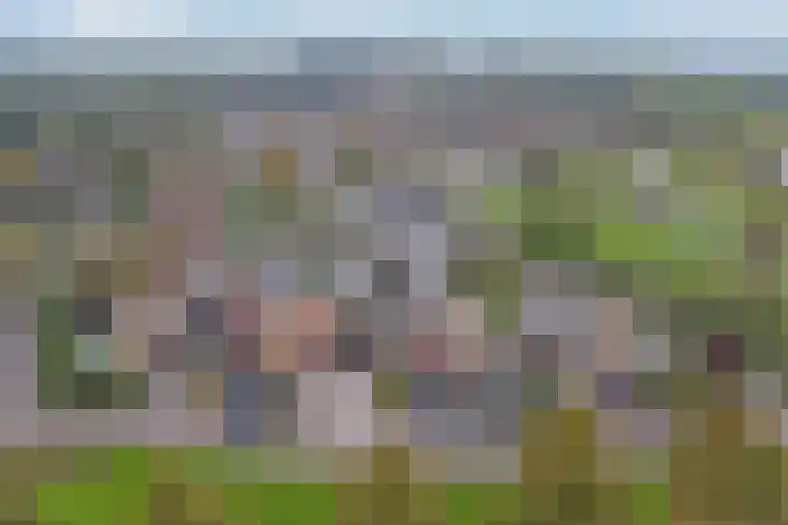 Vierlander 16 Dronten thumbnail 34