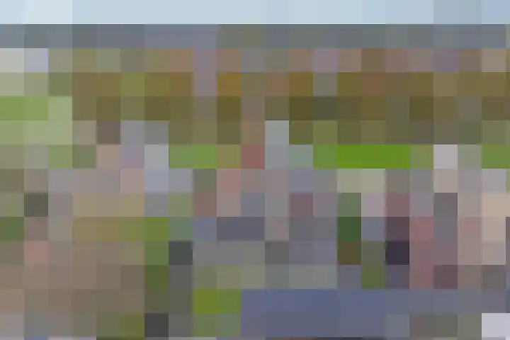 Vierlander 16 Dronten thumbnail 35