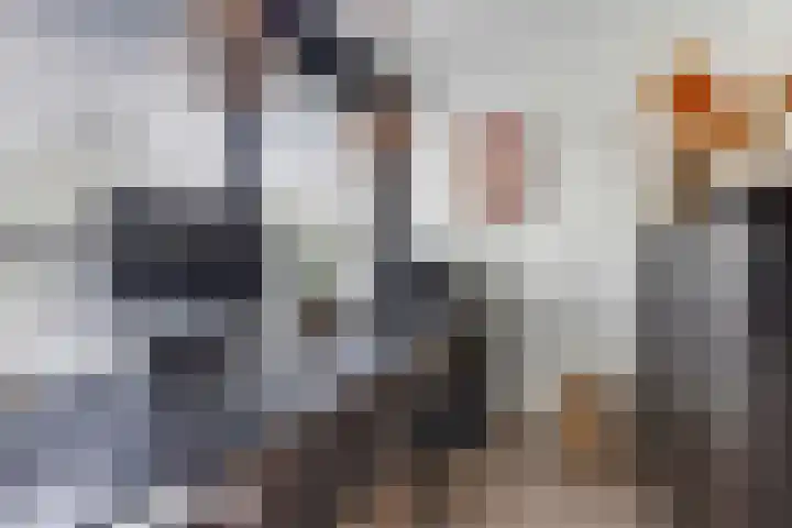 Vierlander 16 Dronten thumbnail 8